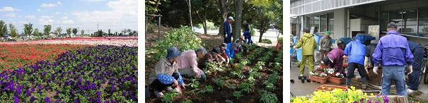 ボランティアによる植栽