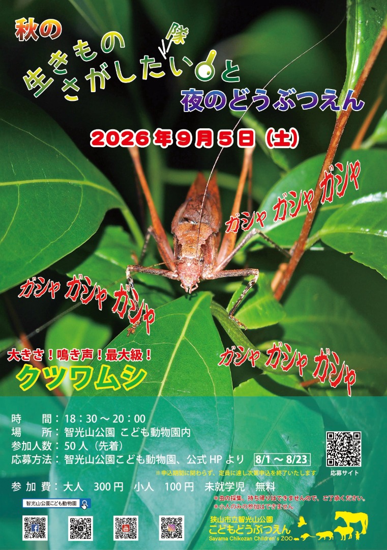 夜虫ポスター