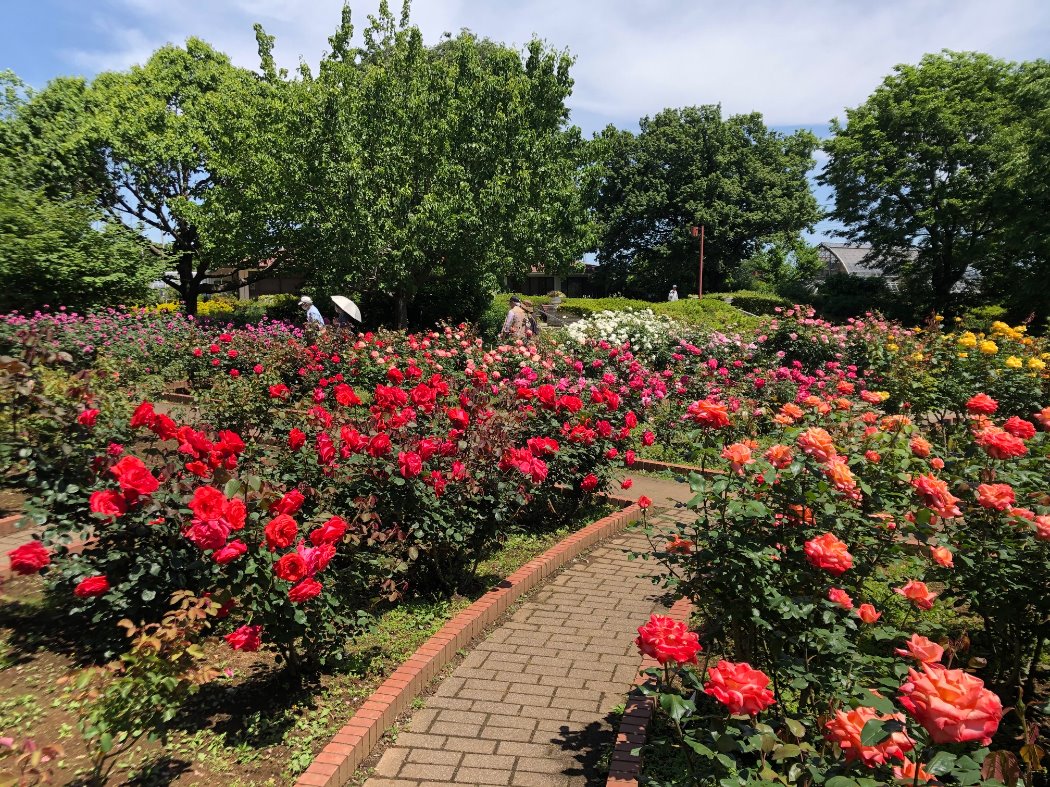 バラ園・洋風庭木見本園