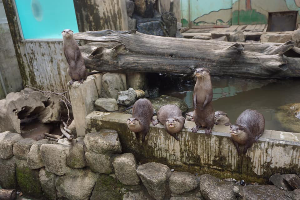 キャプション(編集は画像ボタンから) あ