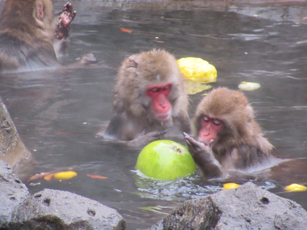 ゆず湯
