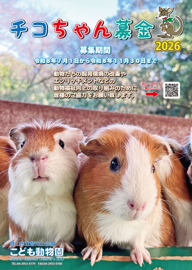 ポスター表