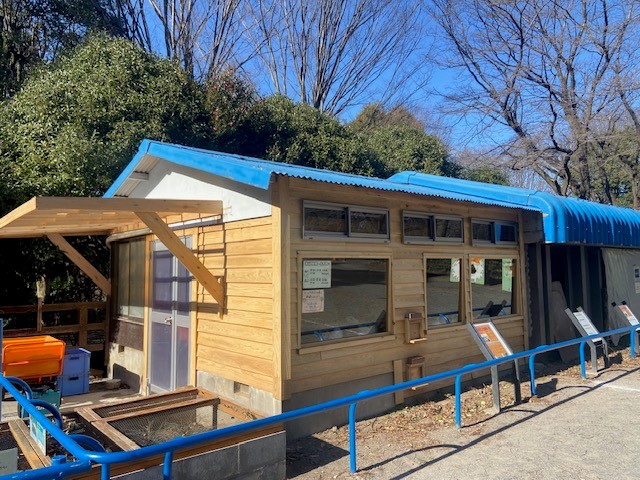 テンジクネズミ舎リホーム