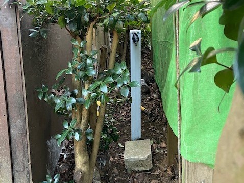 シロフクロウ舎ミスト用水栓の立ち上げ