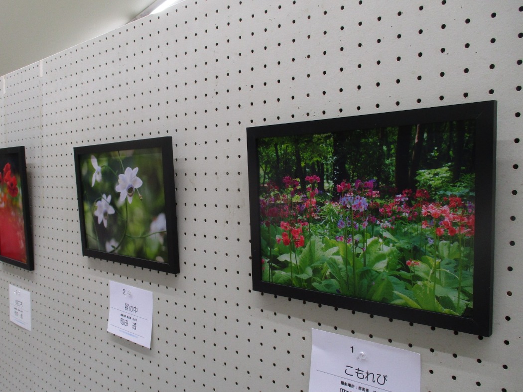 写真展