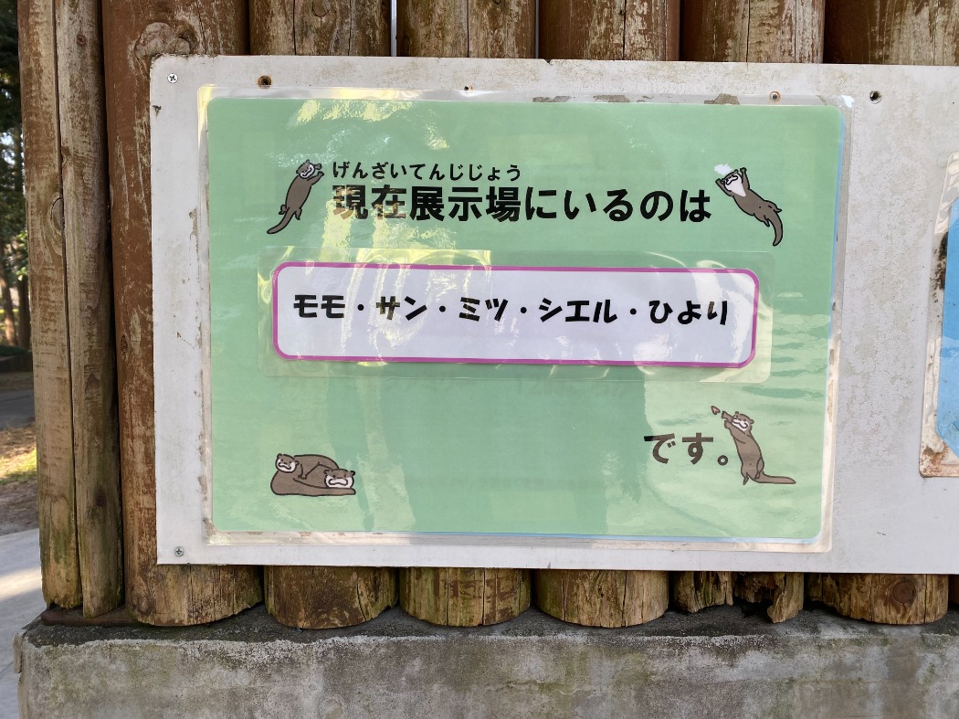 展示中の個体名
