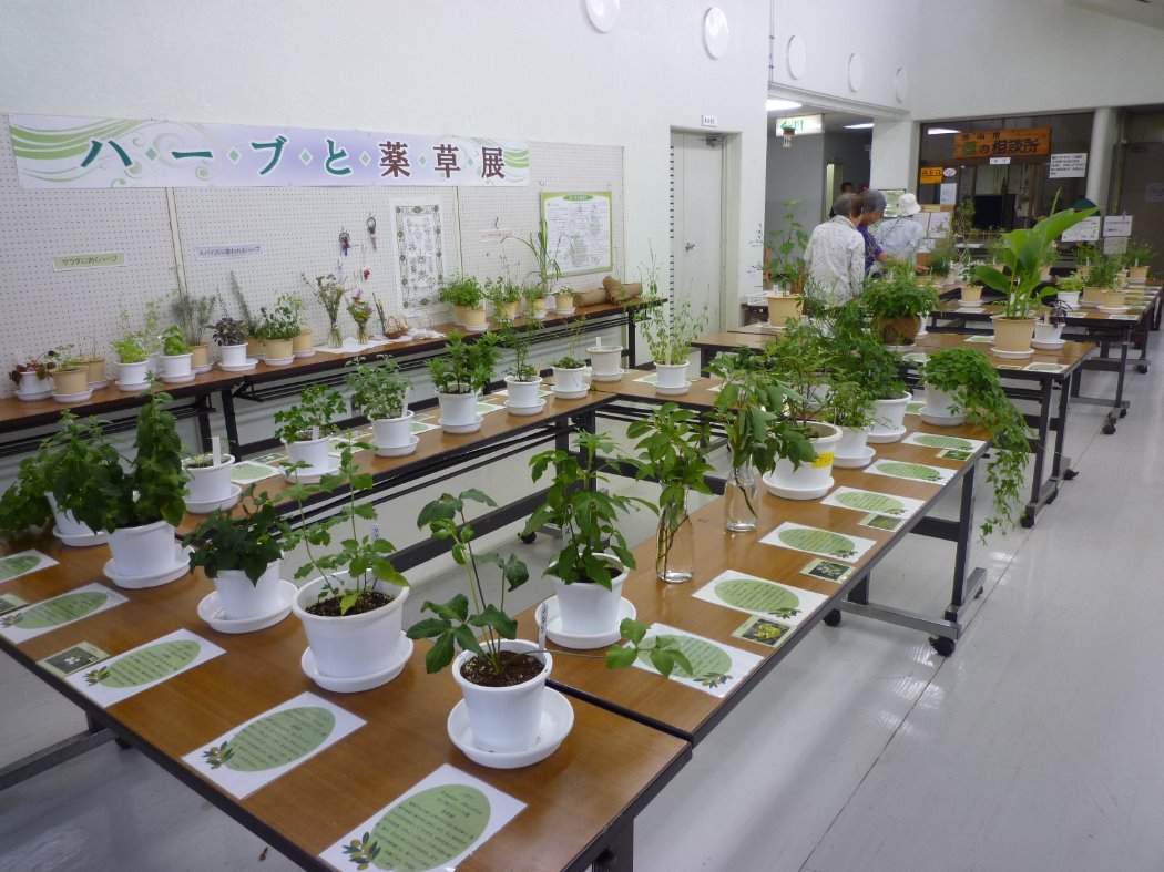 キャプション(編集は画像ボタンから) 展示ホール