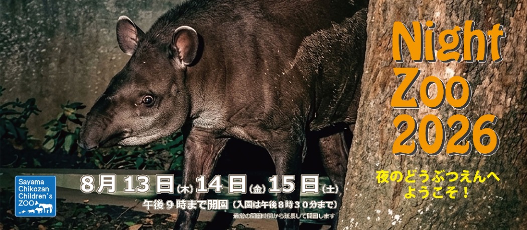 ナイトズー2026
