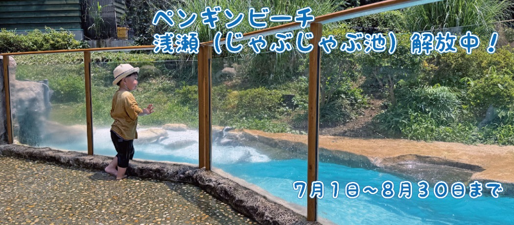 じゃぶじゃぶ池