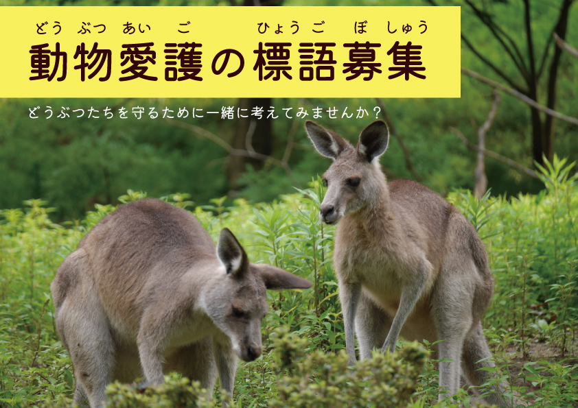 動物愛護の標語募集