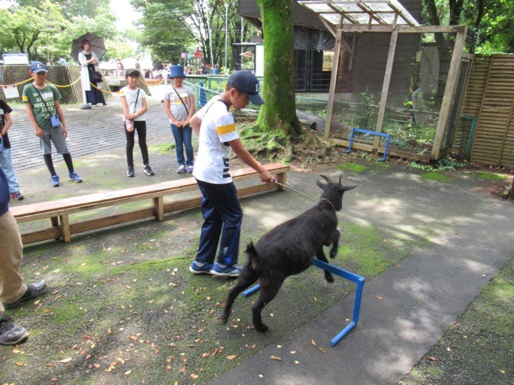 トレーニング中