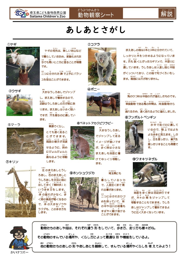 あしあとさがし(解説)