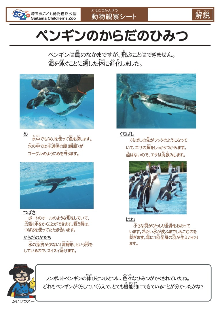 ペンギンのからだのひみつ(解説)