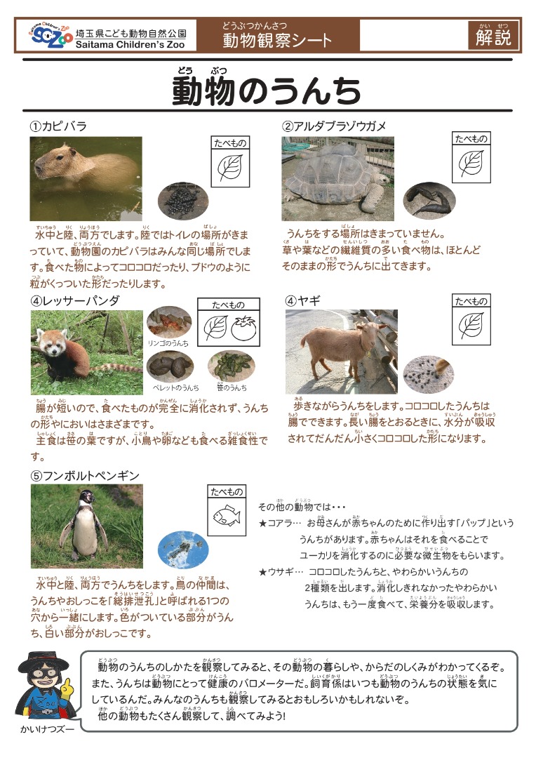 動物のうんち(解説)