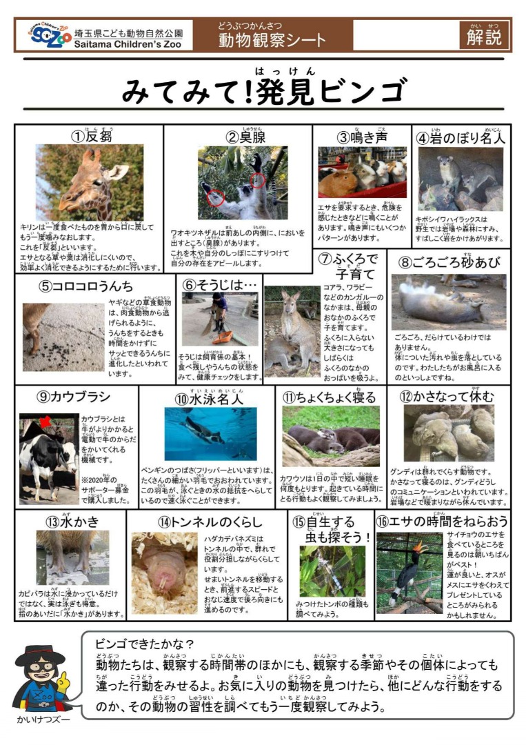 みてみて!発見ビンゴ(解説)