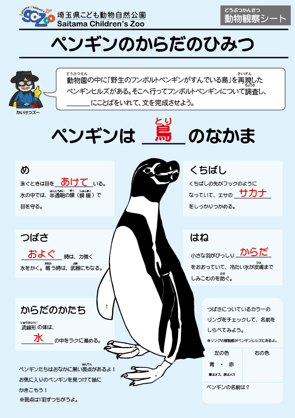 ペンギンのからだのひみつ