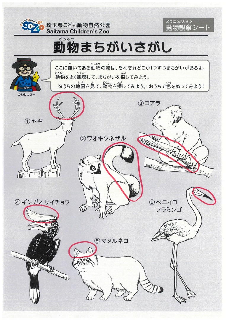 動物まちがいさがし