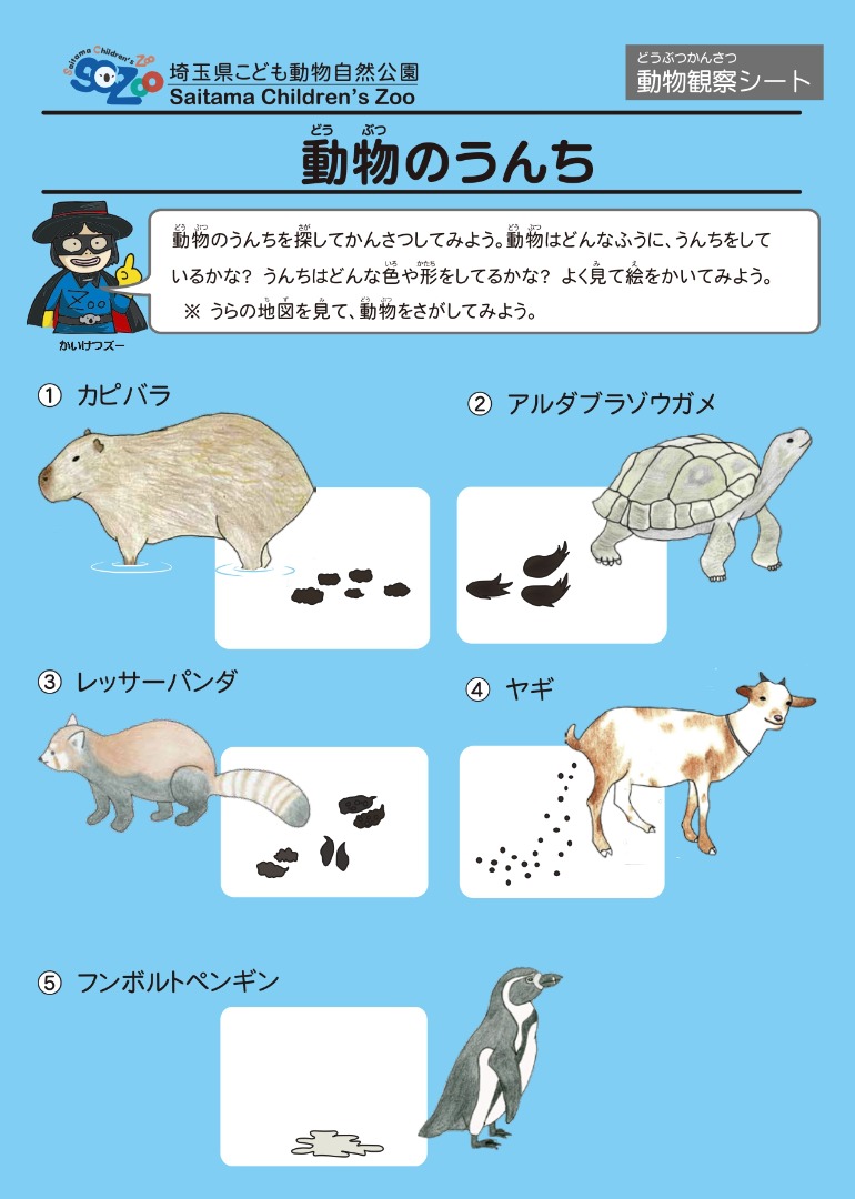 動物のうんち