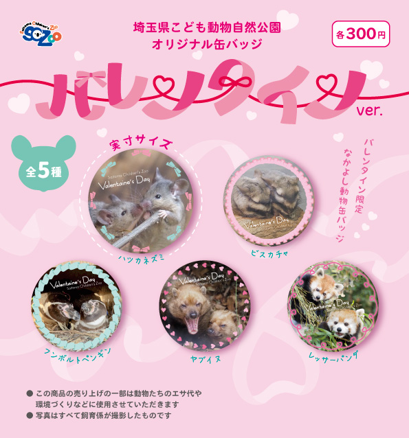 なかよしカップルを集めました♪