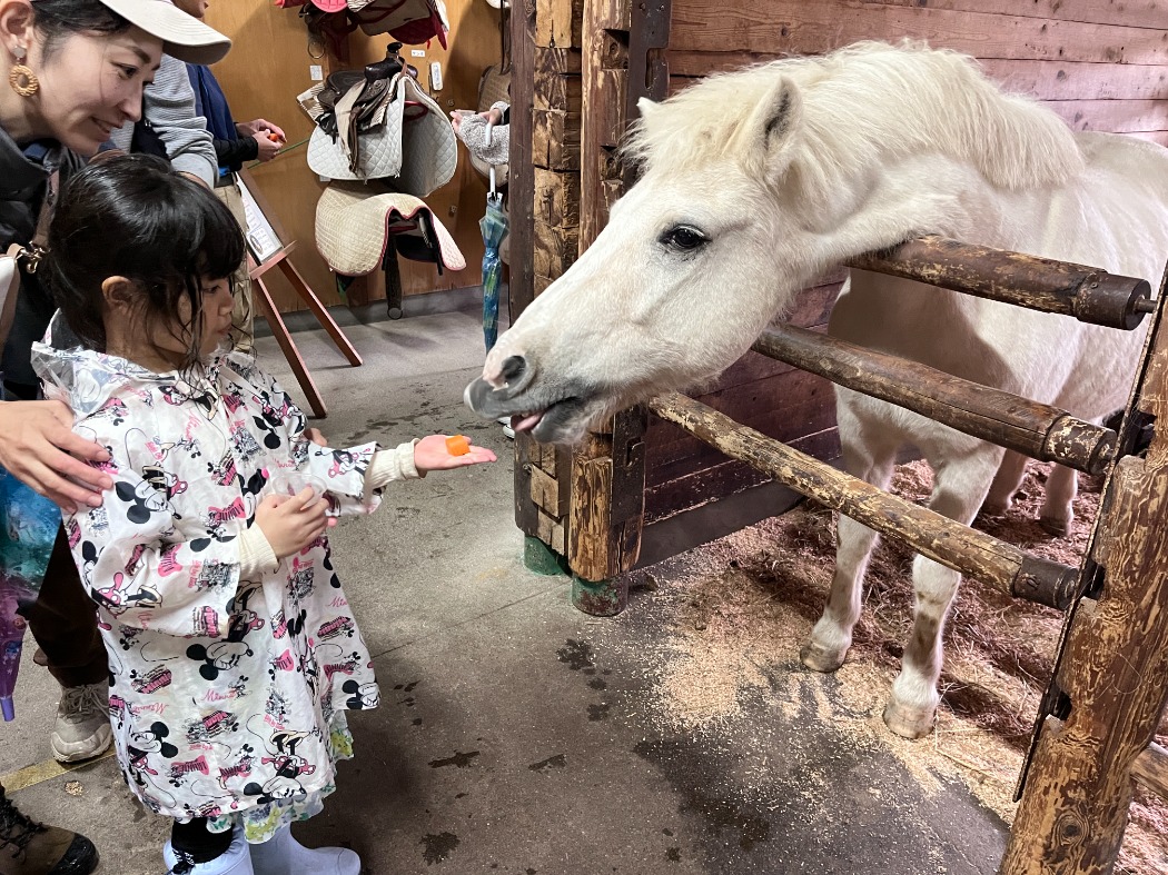 ポニーのエサやり体験のようす