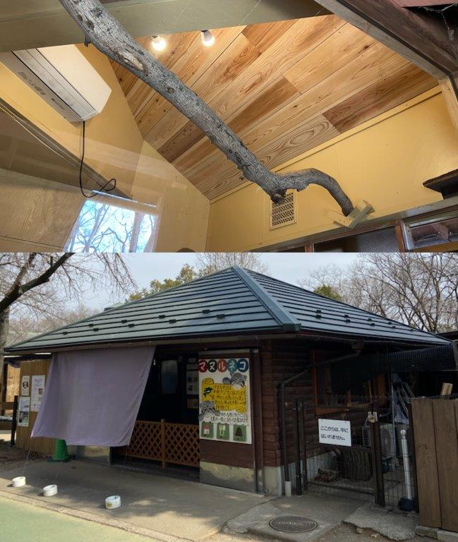 マヌルネコ舎の断熱屋根と天井 マヌルネコ舎