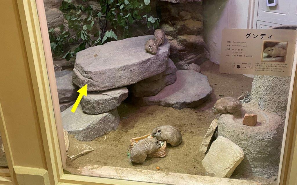 グンディ展示場にヒーター付き擬岩を設置 グンディのヒーター付き擬岩