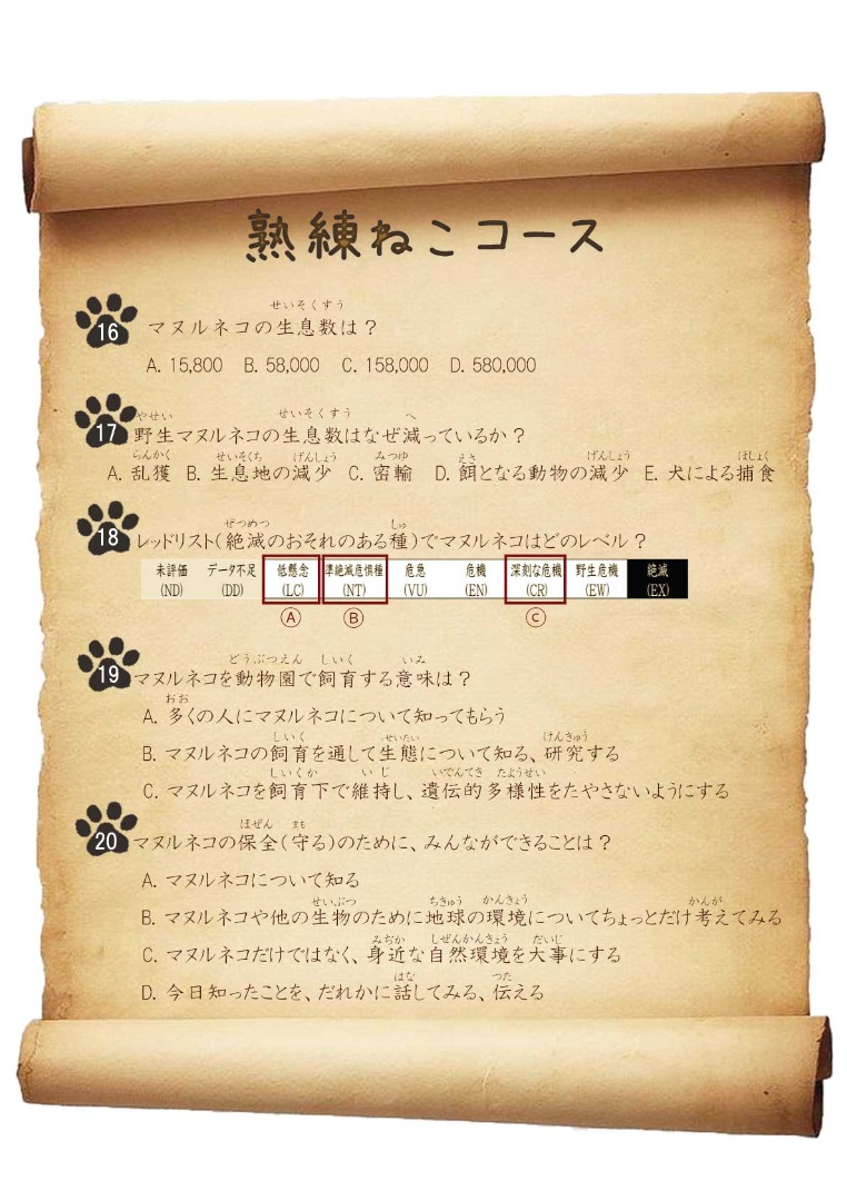 キャプション(編集は画像ボタンから) 熟練ねこコース問題2