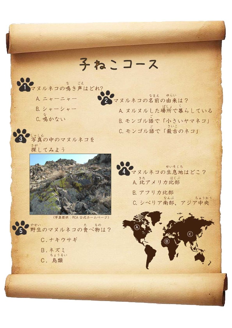 キャプション(編集は画像ボタンから) 子ねこコース問題文1
