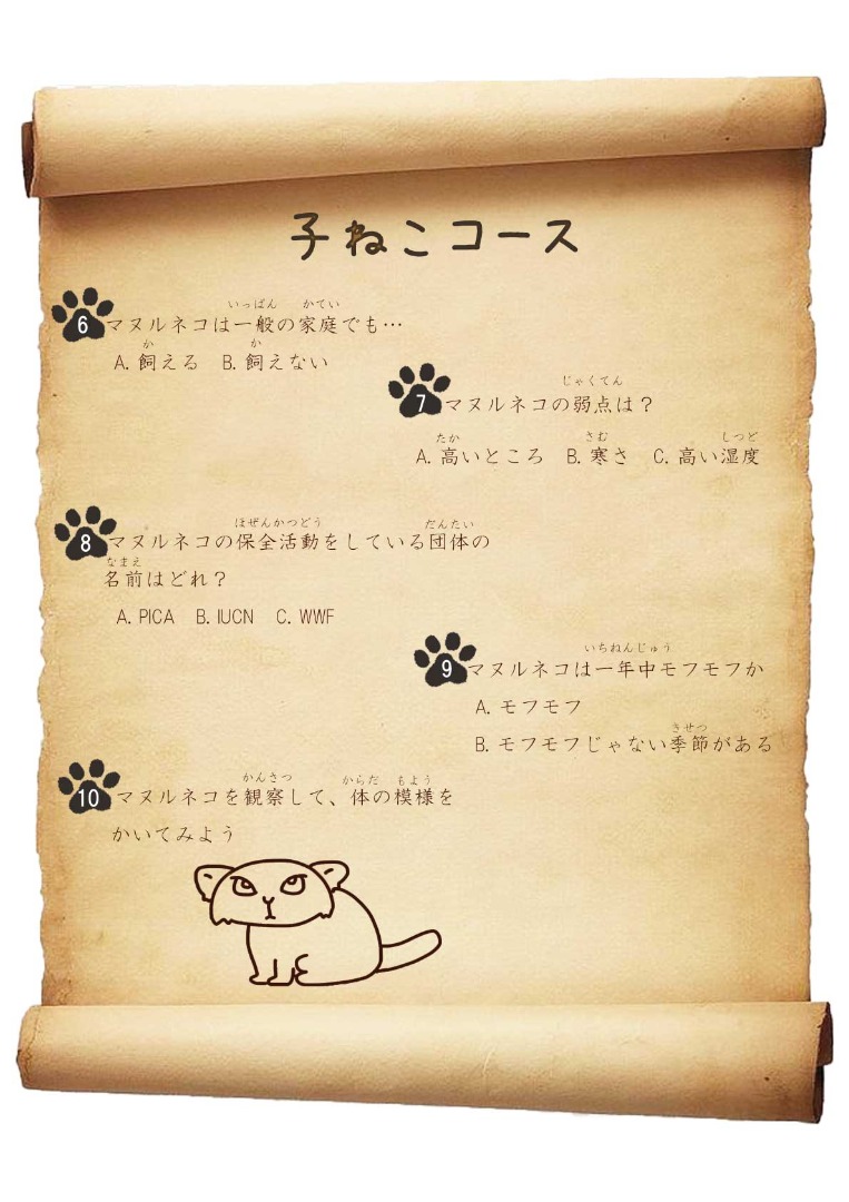 キャプション(編集は画像ボタンから) 子ねこコース問題分2