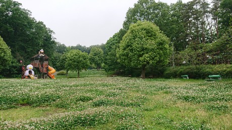 自由広場の様子