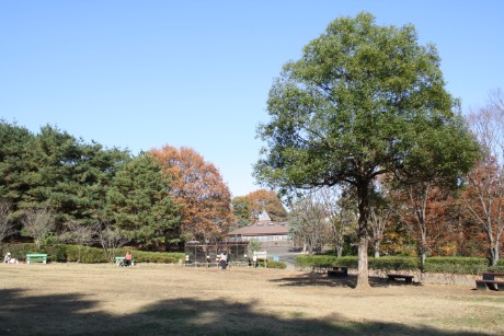 自由広場の様子