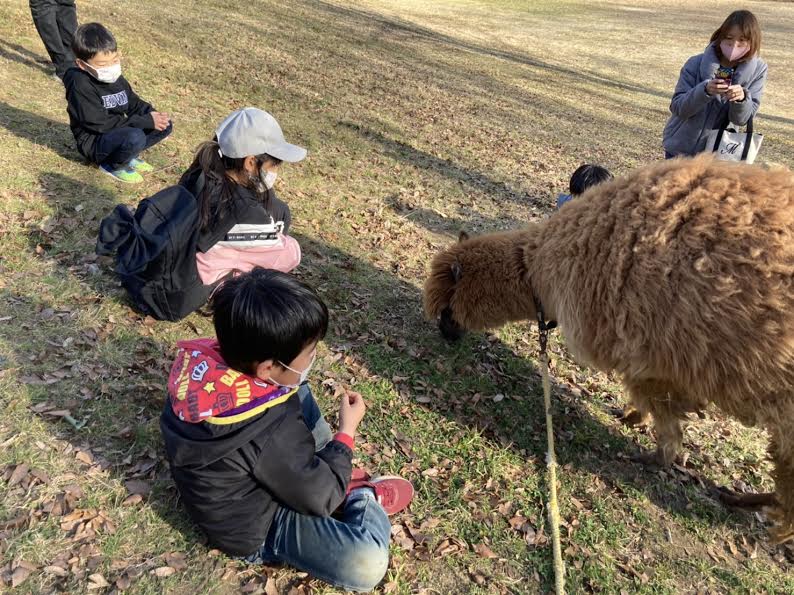 アルパカのモカ