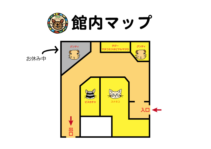 ecoハウチュー昼 展示エリア