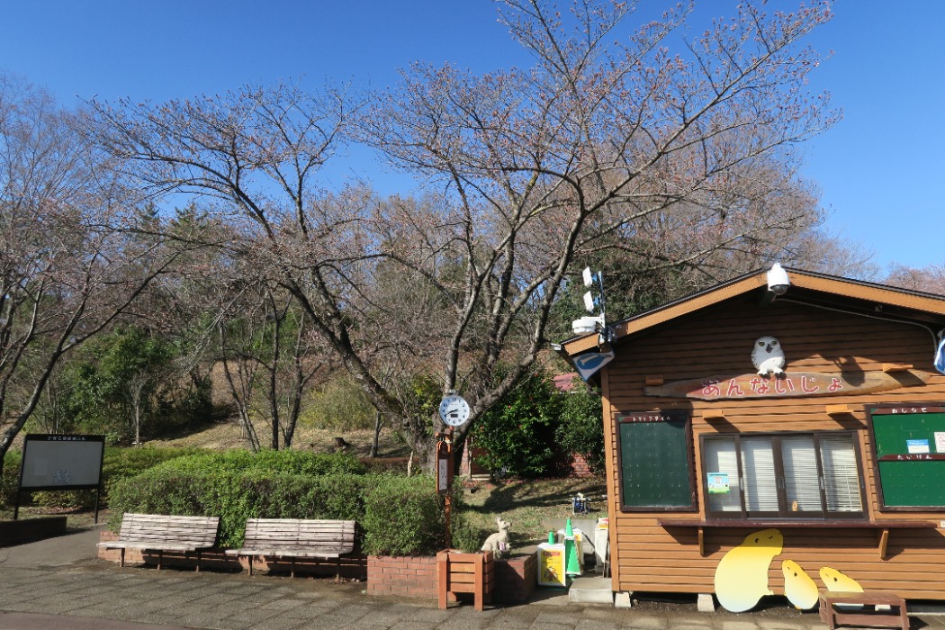 動物園の標準木