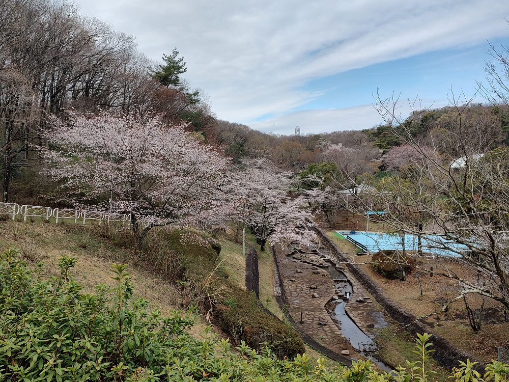 望月川