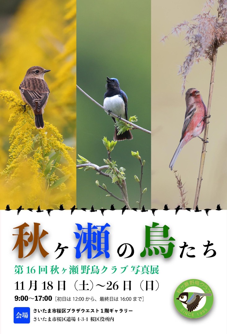 野鳥写真展