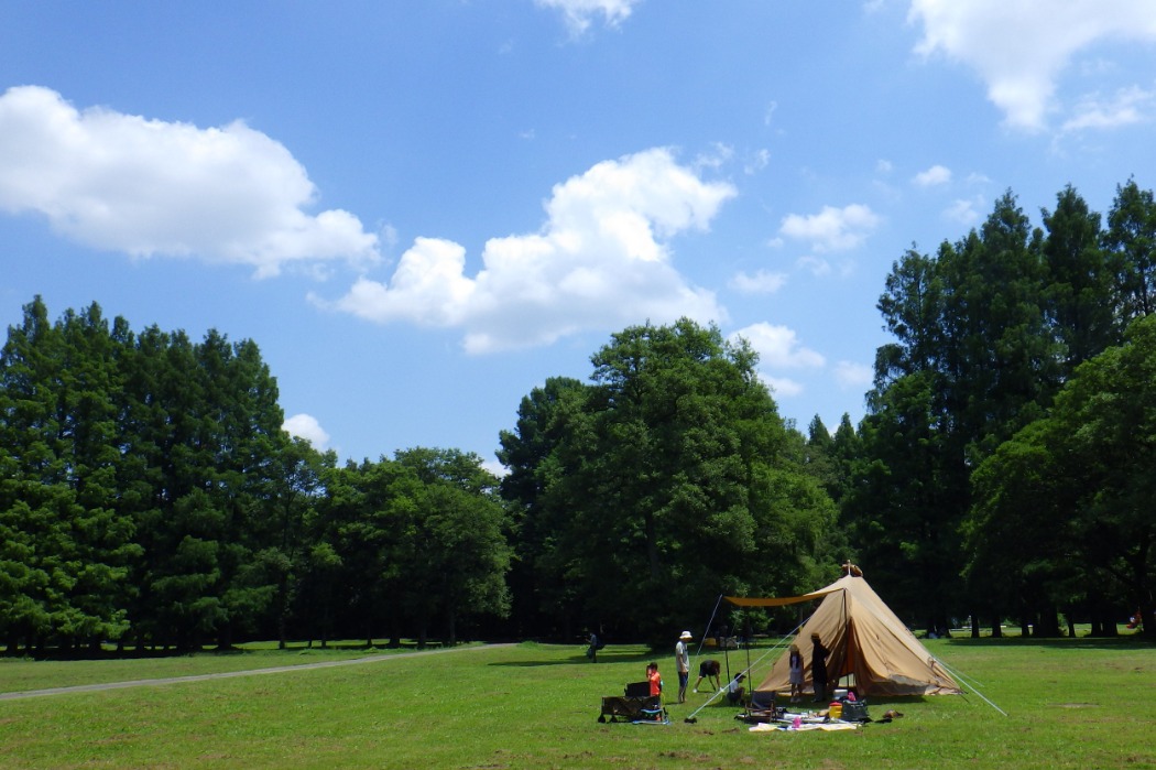 デイキャンプ場で優雅な時間をお過ごしください。