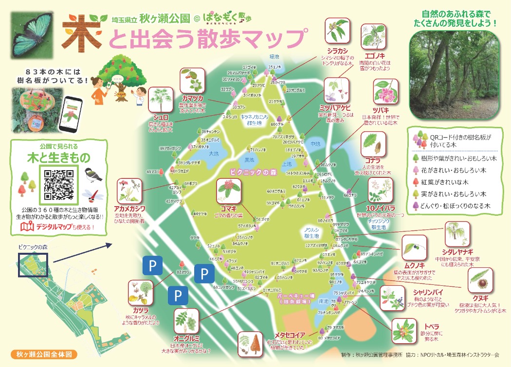 散歩マップ（通年）