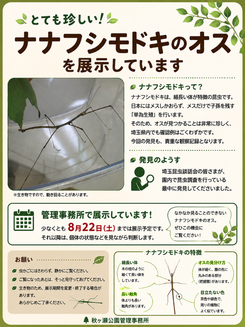 展示案内