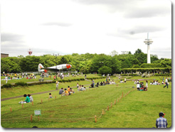 所沢航空記念公園