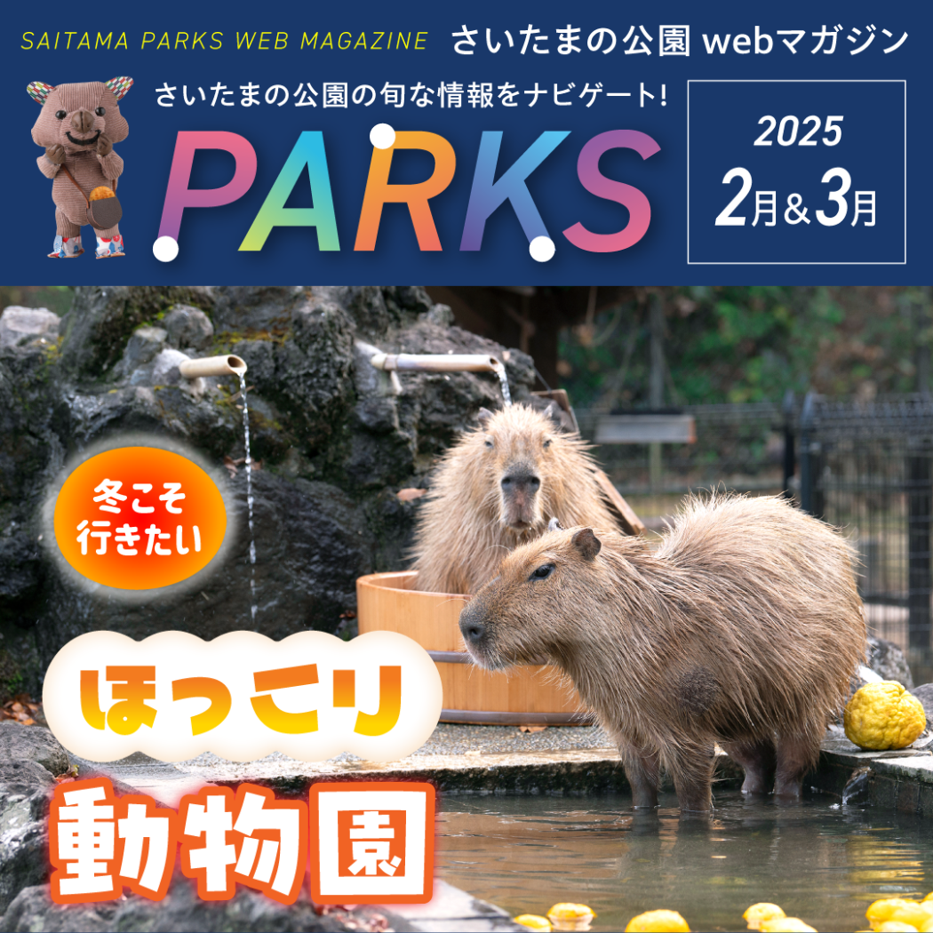 parks2・3月号