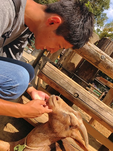 『笑顔対決』こども動物自然公園(東松山市) 市川 凜華