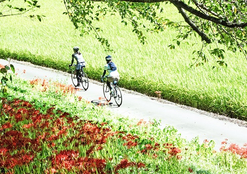 『お彼岸ロード』さくら堤公園(吉見町) 三宅 清償