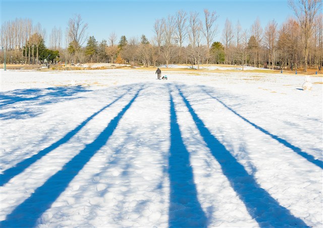 雪の日アート賞