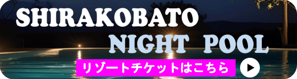 ナイトプールリゾートチケット