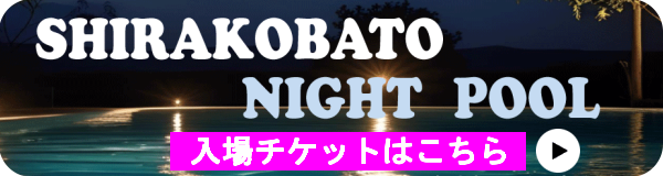 ナイトプールチケット