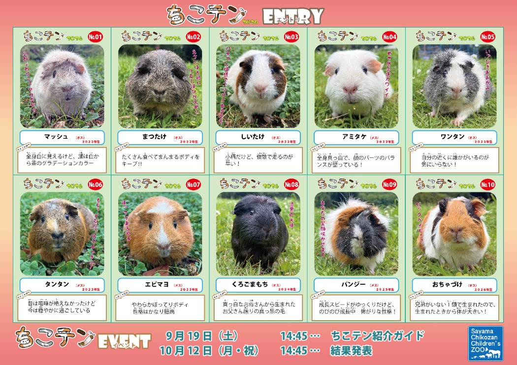 来年のカレンダーのセンターは誰だ!?