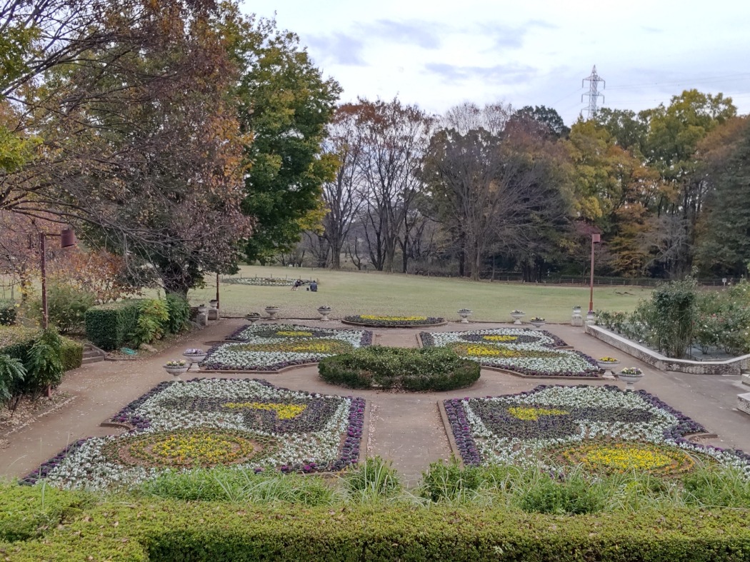 キャプション(編集は画像ボタンから)