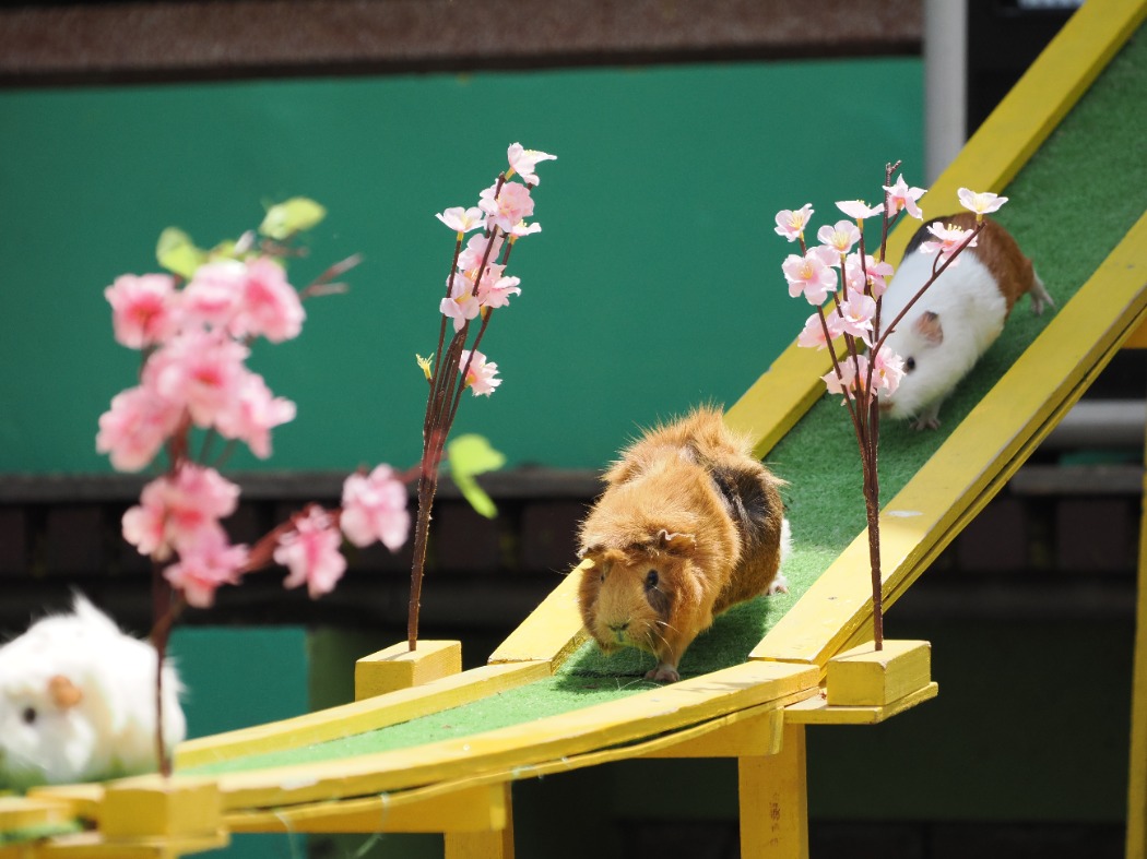 お帰り