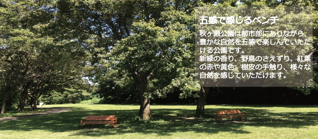 五感ベンチ